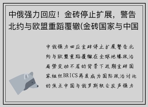 中俄强力回应！金砖停止扩展，警告北约与欧盟重蹈覆辙(金砖国家与中国接壤)