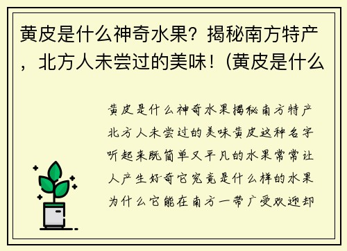 黄皮是什么神奇水果？揭秘南方特产，北方人未尝过的美味！(黄皮是什么类型的水果)