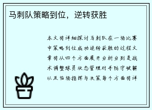 马刺队策略到位，逆转获胜