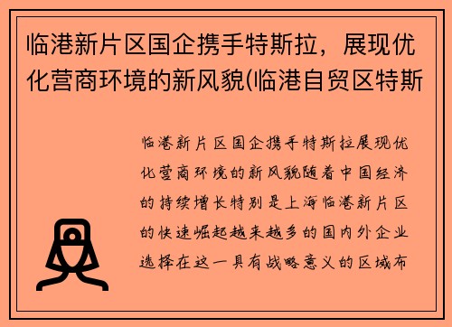 临港新片区国企携手特斯拉，展现优化营商环境的新风貌(临港自贸区特斯拉工厂)