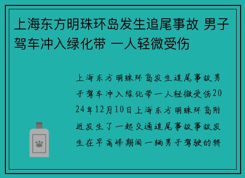 上海东方明珠环岛发生追尾事故 男子驾车冲入绿化带 一人轻微受伤