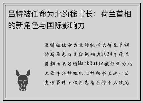 吕特被任命为北约秘书长：荷兰首相的新角色与国际影响力