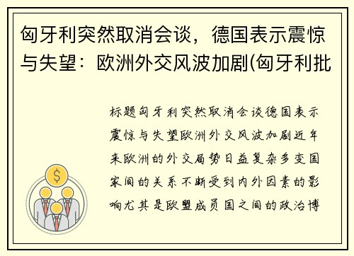 匈牙利突然取消会谈，德国表示震惊与失望：欧洲外交风波加剧(匈牙利批准)